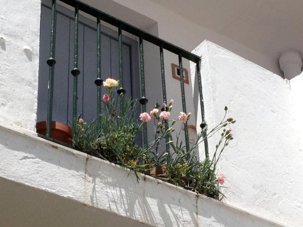 Apartamentos Casa La Costanilla Vejer de la Frontera Zimmer foto
